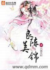 良陈美锦番外完整版