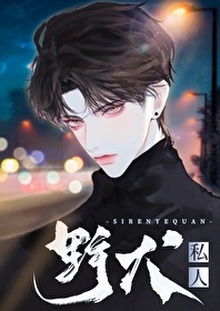 私人野马爆改二手车